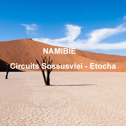 Carnets et Photos de Voyage Namibie - Circuit Sossusvlei, Skeleton Coast et Etocha