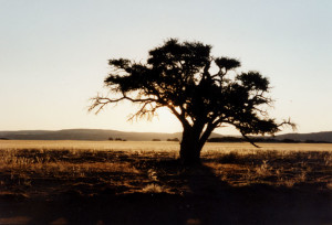 Carnets et photos de voyage en Namibie - coucher de soleil à Sesriem